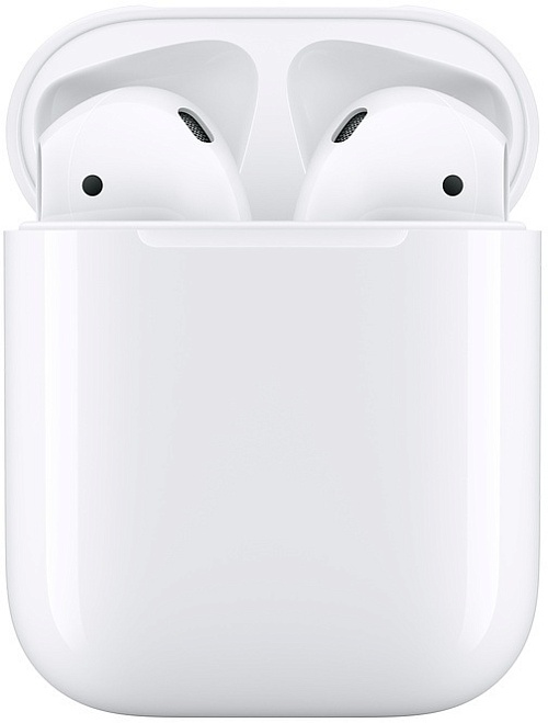 Apple AirPods 2 with Charging Case